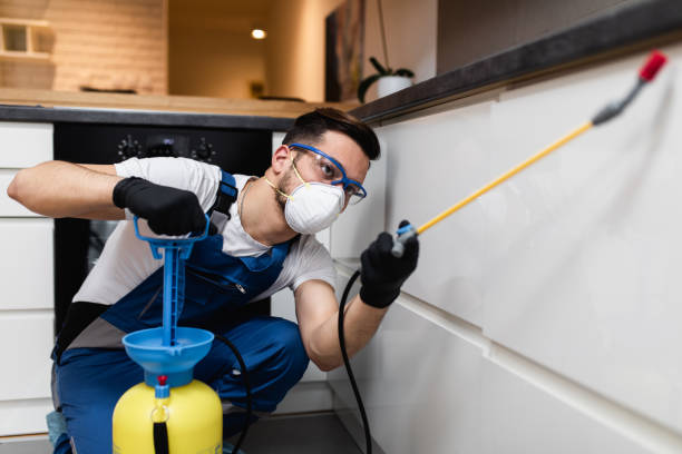 Wildlife Control Services in Indian Hills, NV