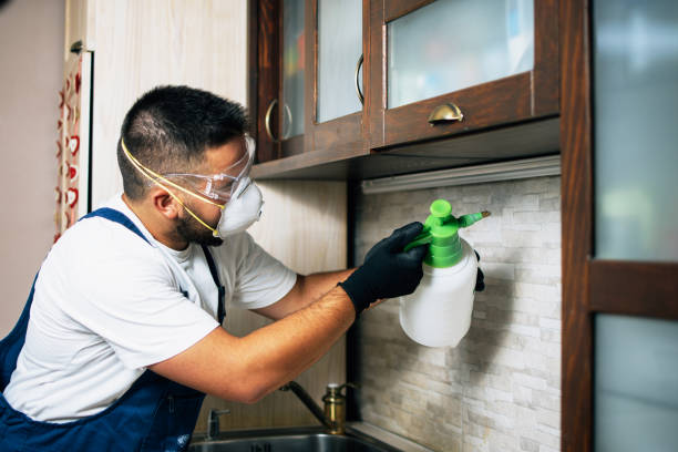 Trusted Indian Hills, NV Pest Control Experts