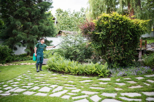 Best Pest Prevention Services  in Indian Hills, NV