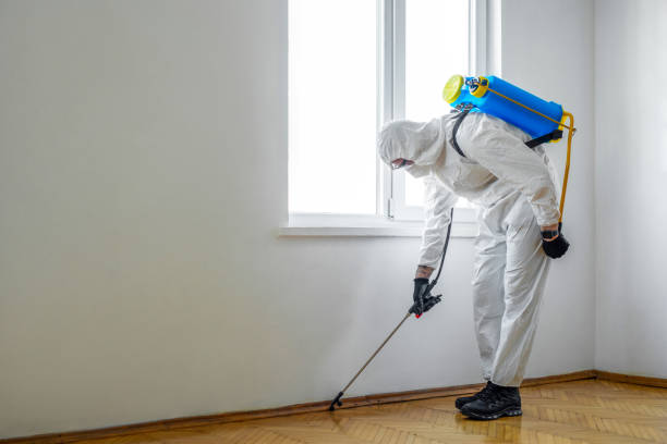 Best Bed Bug Extermination  in Indian Hills, NV