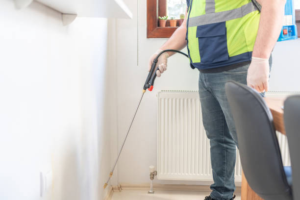 Best Rat Extermination Near Me  in Indian Hills, NV