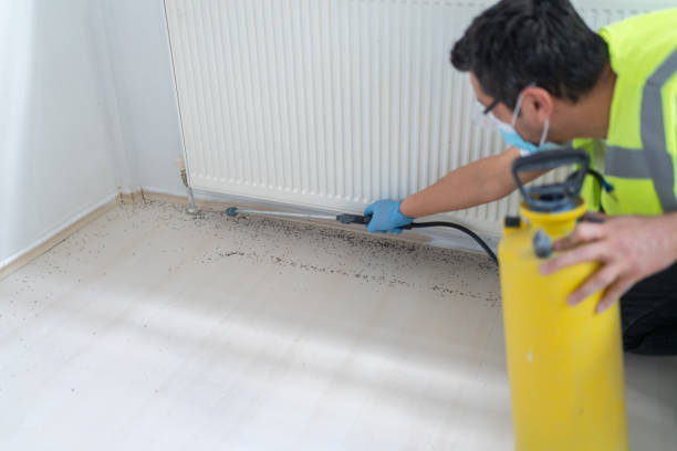 Pest Control Cost in Indian Hills, NV